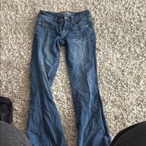American Eagle Outfitters Blue Flare Wide Leg Jeans